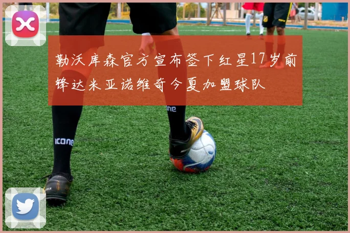 勒沃库森官方宣布签下红星17岁前锋达米亚诺维奇今夏加盟球队