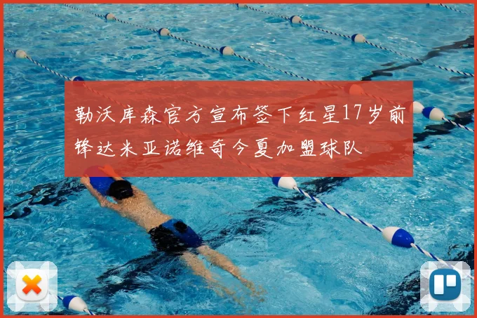 勒沃库森官方宣布签下红星17岁前锋达米亚诺维奇今夏加盟球队