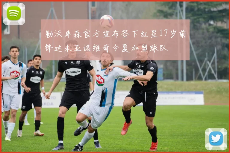 勒沃库森官方宣布签下红星17岁前锋达米亚诺维奇今夏加盟球队