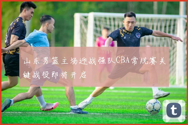 山东男篮主场迎战强队CBA常规赛关键战役即将开启