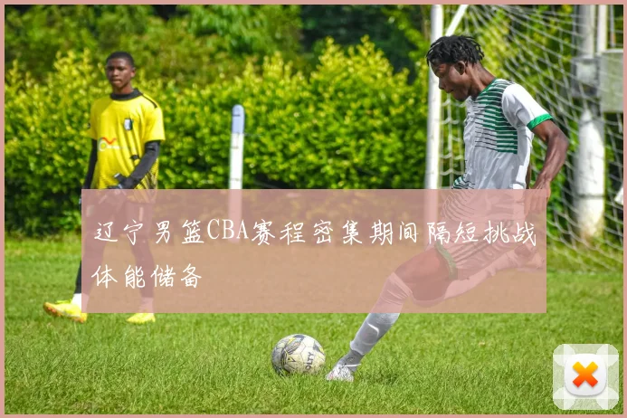 辽宁男篮CBA赛程密集期间隔短挑战体能储备
