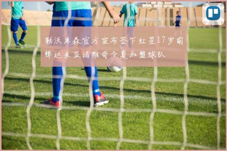 勒沃库森官方宣布签下红星17岁前锋达米亚诺维奇今夏加盟球队