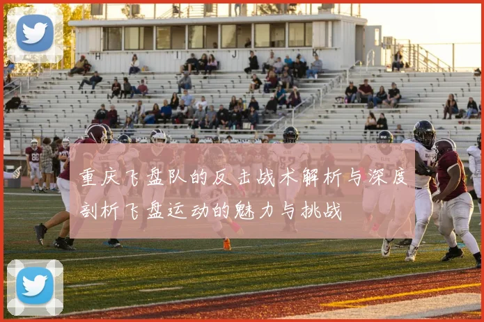 重庆飞盘队的反击战术解析与深度剖析飞盘运动的魅力与挑战