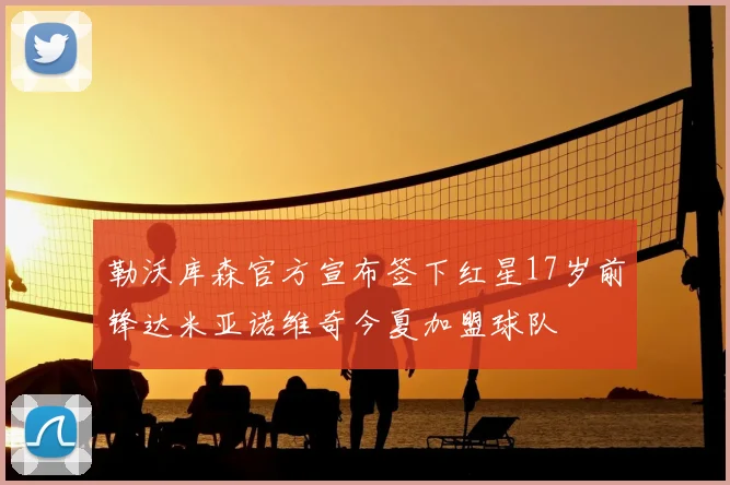 勒沃库森官方宣布签下红星17岁前锋达米亚诺维奇今夏加盟球队
