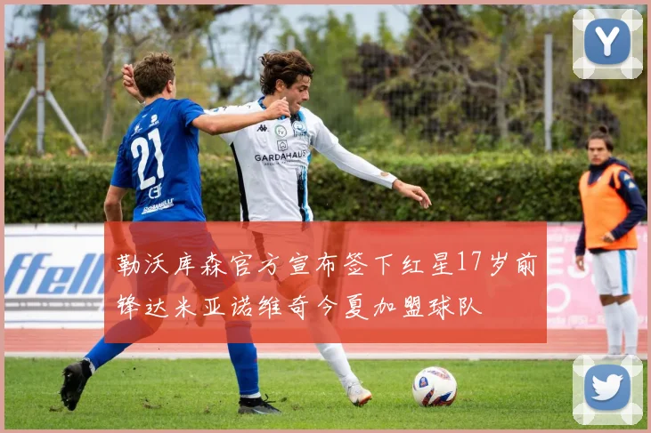勒沃库森官方宣布签下红星17岁前锋达米亚诺维奇今夏加盟球队