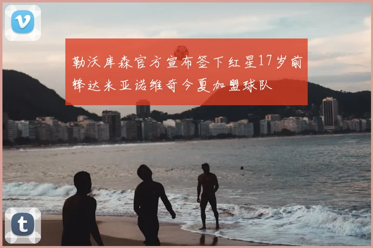 勒沃库森官方宣布签下红星17岁前锋达米亚诺维奇今夏加盟球队