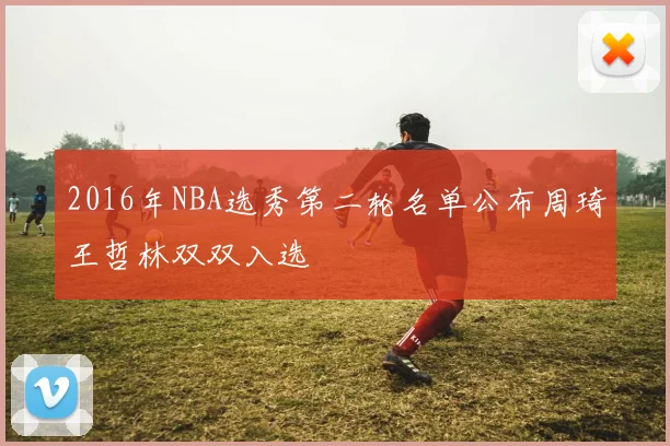 2016年NBA选秀第二轮名单公布周琦王哲林双双入选