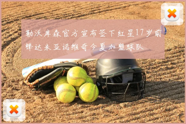 勒沃库森官方宣布签下红星17岁前锋达米亚诺维奇今夏加盟球队
