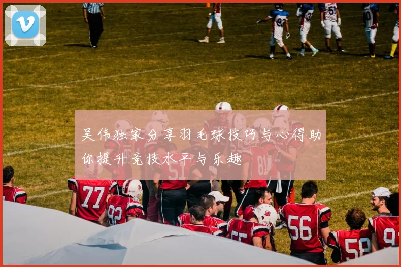 吴伟独家分享羽毛球技巧与心得助你提升竞技水平与乐趣