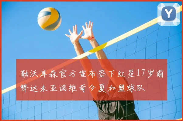 勒沃库森官方宣布签下红星17岁前锋达米亚诺维奇今夏加盟球队