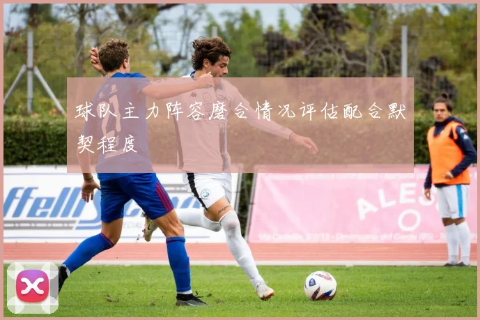 球队主力阵容磨合情况评估配合默契程度