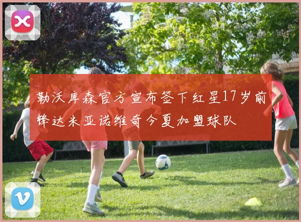 勒沃库森官方宣布签下红星17岁前锋达米亚诺维奇今夏加盟球队