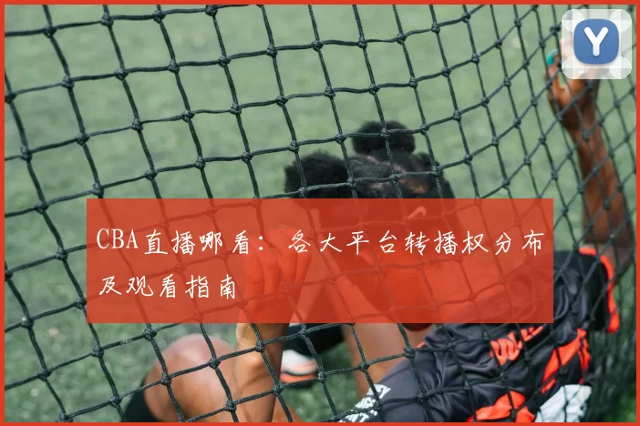 CBA直播哪看：各大平台转播权分布及观看指南