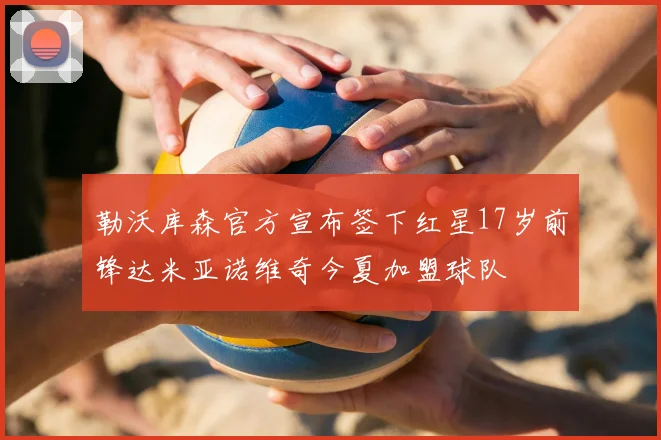 勒沃库森官方宣布签下红星17岁前锋达米亚诺维奇今夏加盟球队