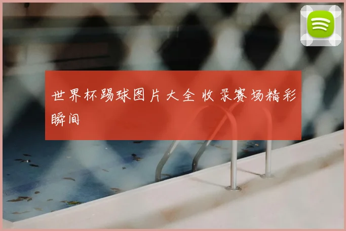 世界杯踢球图片大全 收录赛场精彩瞬间