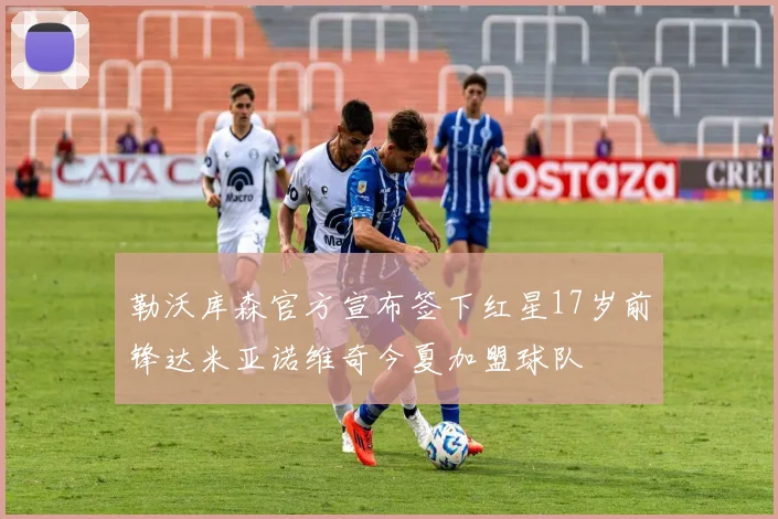 勒沃库森官方宣布签下红星17岁前锋达米亚诺维奇今夏加盟球队