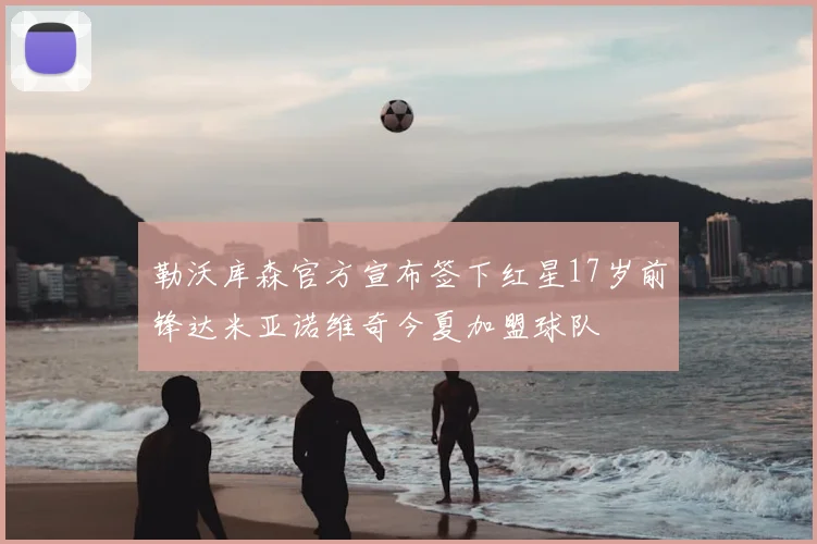 勒沃库森官方宣布签下红星17岁前锋达米亚诺维奇今夏加盟球队