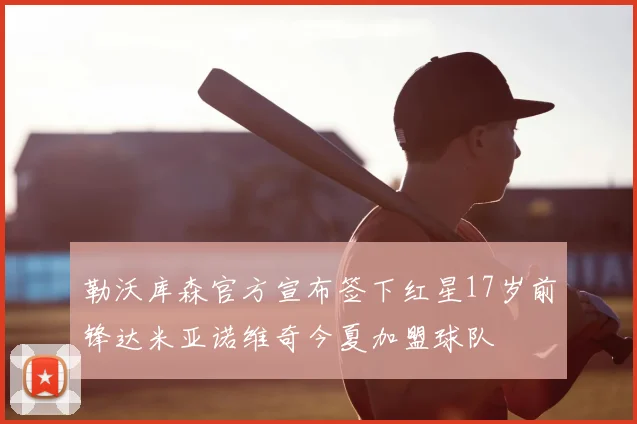 勒沃库森官方宣布签下红星17岁前锋达米亚诺维奇今夏加盟球队
