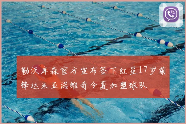勒沃库森官方宣布签下红星17岁前锋达米亚诺维奇今夏加盟球队